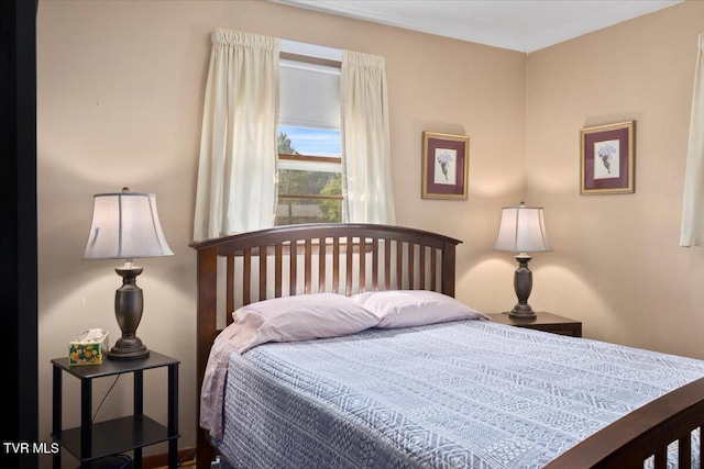 313 Peach Blossom Ct, Johnson City, TN 37604 - view of bedroom