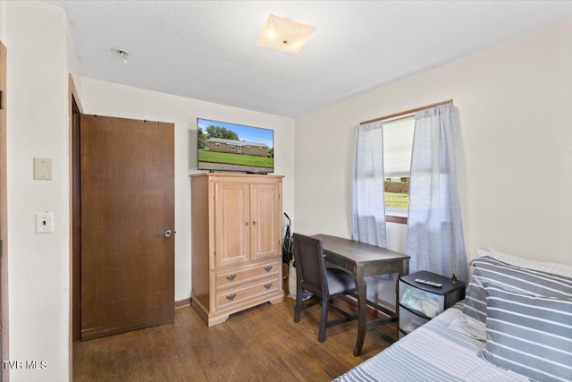 313 Peach Blossom Ct, Johnson City, TN 37604 - bedroom with dark wood finished floors