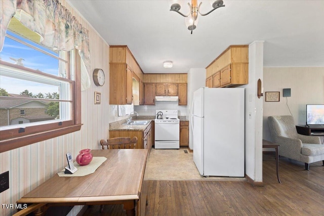 313 Peach Blossom Ct, Johnson City, TN 37604 - kitchen with white appliances, under cabinet range hood, wood finished floors, a sink, and brown cabinets