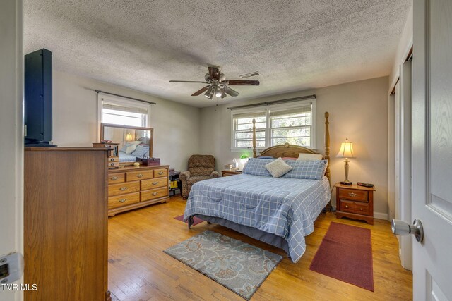 2228 Bruce St, Kingsport, TN 37664 - bedroom with multiple windows, a textured ceiling, light wood finished floors, a closet, and ceiling fan