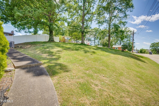 2228 Bruce St, Kingsport, TN 37664 - view of yard