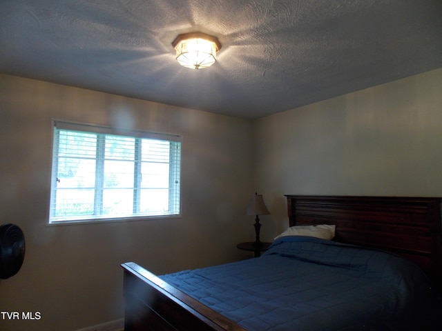167 Cherry Ln, Bristol, VA 24201 - bedroom featuring baseboards and a textured ceiling