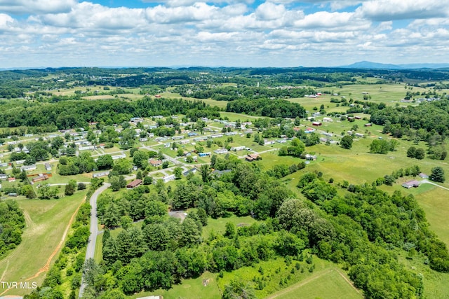 293 Miller Rd, Jonesborough, TN 37659 - aerial view