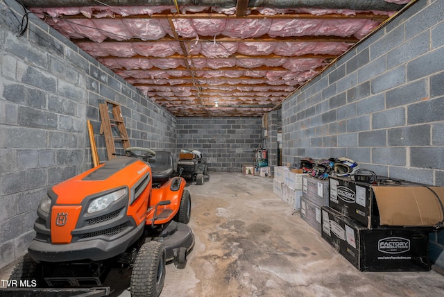 293 Miller Rd, Jonesborough, TN 37659 - below grade area featuring concrete block wall