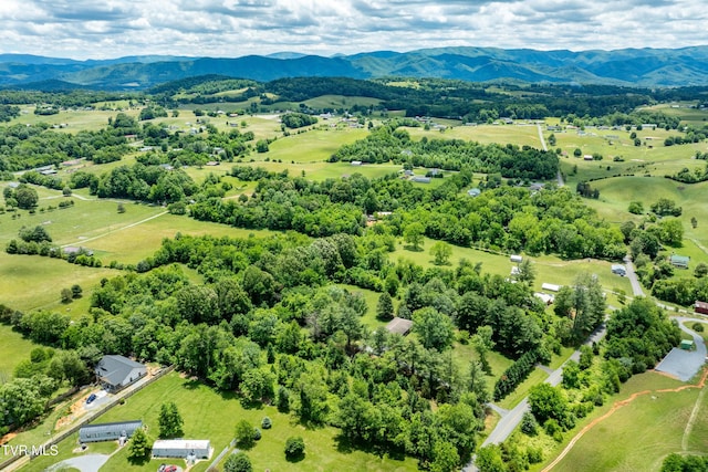 293 Miller Rd, Jonesborough, TN 37659 - drone / aerial view of mountains