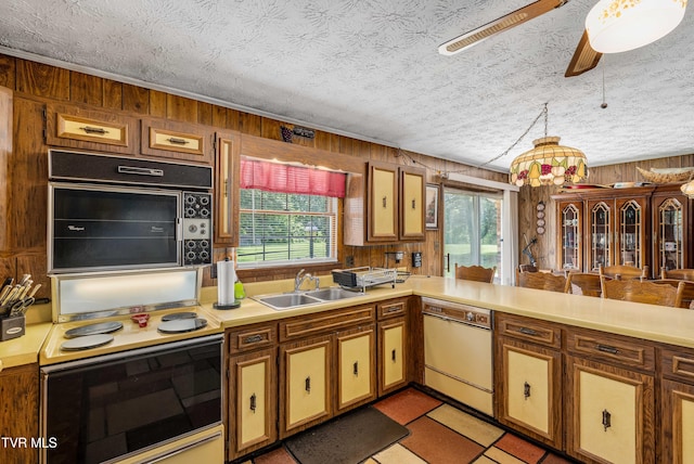 293 Miller Rd, Jonesborough, TN 37659 - kitchen featuring electric stove, a sink, wood walls, dishwasher, and healthy amount of natural light