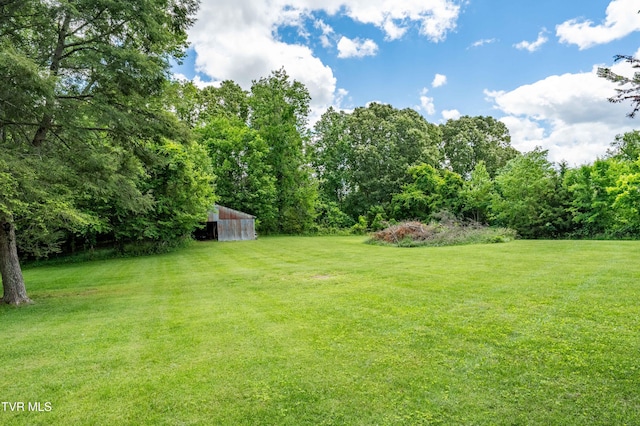 293 Miller Rd, Jonesborough, TN 37659 - view of green lawn with an outbuilding