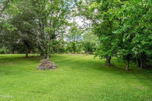 293 Miller Rd, Jonesborough, TN 37659 - view of grassy yard
