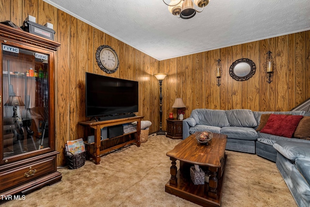 293 Miller Rd, Jonesborough, TN 37659 - carpeted living area featuring wooden walls, a textured ceiling, and crown molding