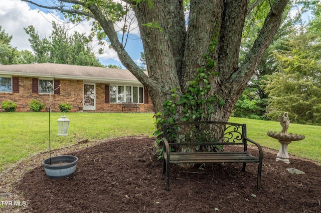 293 Miller Rd, Jonesborough, TN 37659 - view of front of house featuring a front yard, brick siding, and roof with shingles