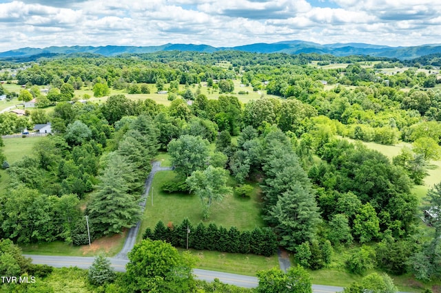 293 Miller Rd, Jonesborough, TN 37659 - drone / aerial view of a mountainous background