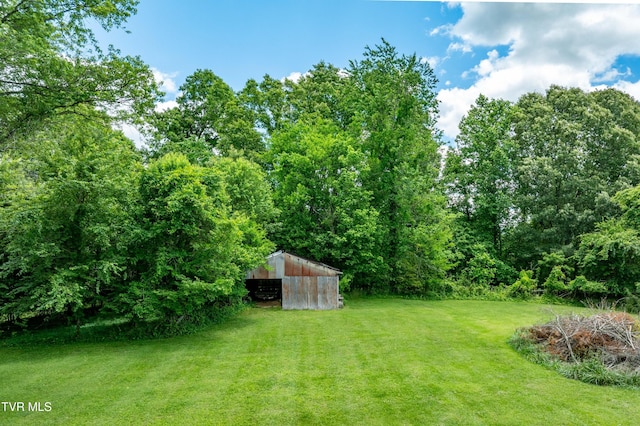 293 Miller Rd, Jonesborough, TN 37659 - view of grassy yard with an outbuilding and an outdoor structure