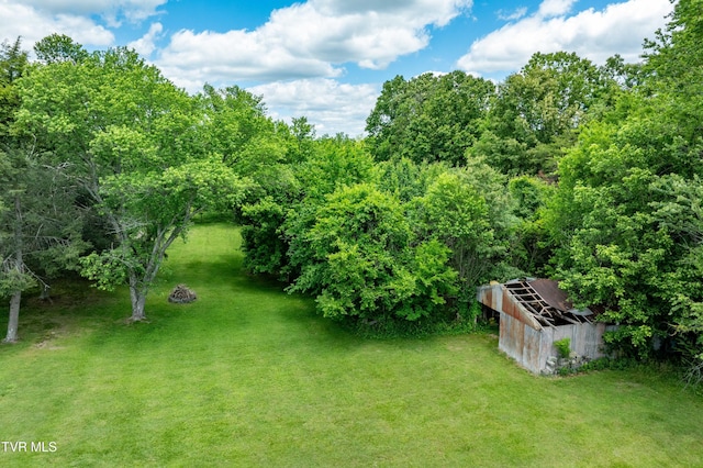 293 Miller Rd, Jonesborough, TN 37659 - view of green lawn