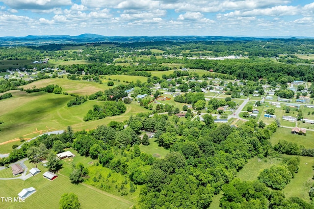293 Miller Rd, Jonesborough, TN 37659 - aerial view of a mountain backdrop