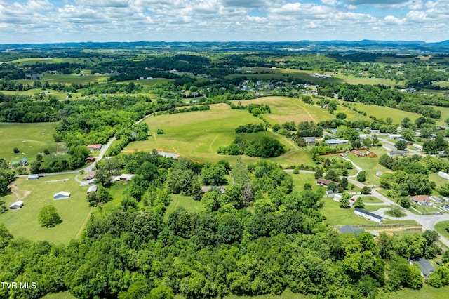 293 Miller Rd, Jonesborough, TN 37659 - drone / aerial view