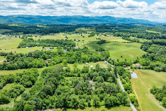 293 Miller Rd, Jonesborough, TN 37659 - aerial view of mountains
