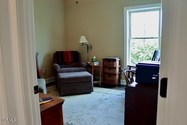 110 Rhetts Way, Jonesborough, TN 37659 - office area featuring plenty of natural light and carpet floors