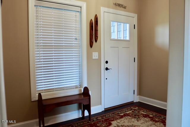 110 Rhetts Way, Jonesborough, TN 37659 - entryway with baseboards, dark wood-style floors, and plenty of natural light