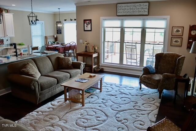 110 Rhetts Way, Jonesborough, TN 37659 - living area with ornamental molding, healthy amount of natural light, wood finished floors, and baseboards