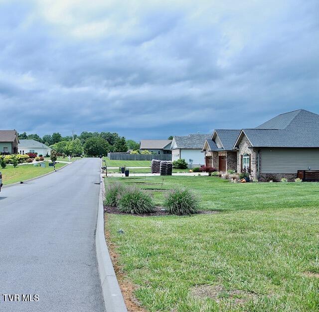 110 Rhetts Way, Jonesborough, TN 37659 - view of asphalt road with curbs