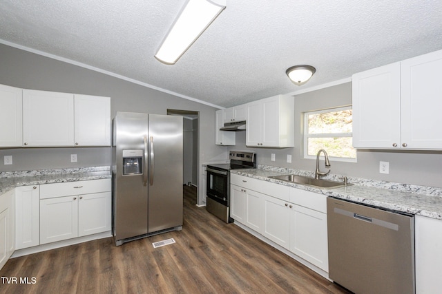 123 Griffin Dr, Dandridge, TN 37725 - kitchen with appliances with stainless steel finishes, a sink, lofted ceiling, a textured ceiling, and dark wood-style flooring