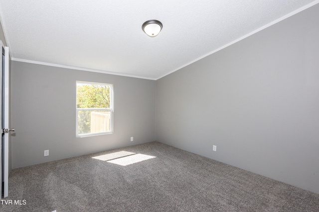 123 Griffin Dr, Dandridge, TN 37725 - empty room featuring carpet flooring and ornamental molding