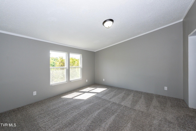 123 Griffin Dr, Dandridge, TN 37725 - unfurnished room with carpet and crown molding