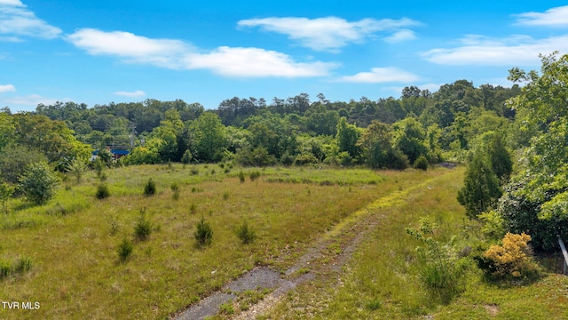 TBD Bristol Hwy, Johnson City, TN 37601