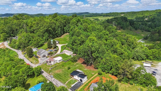 1225 Bristol View Dr, Bristol, VA 24201 - drone / aerial view of a forest