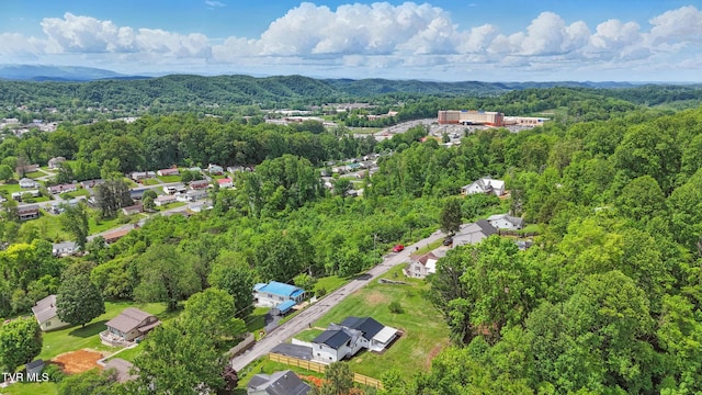 1225 Bristol View Dr, Bristol, VA 24201 - aerial view of a forest and mountains