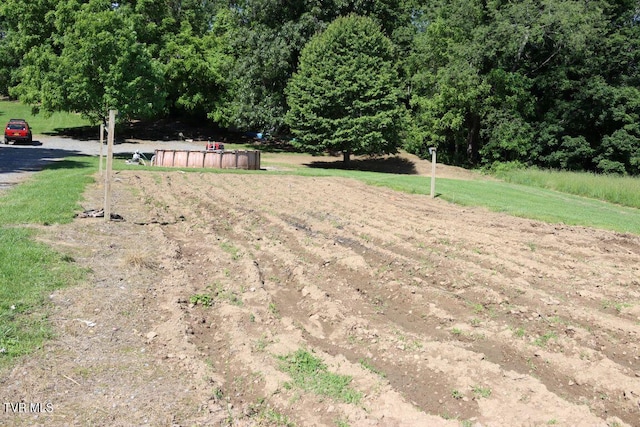 17508 Dreamers Ln, Glade Spring, VA 24340 - view of grassy yard