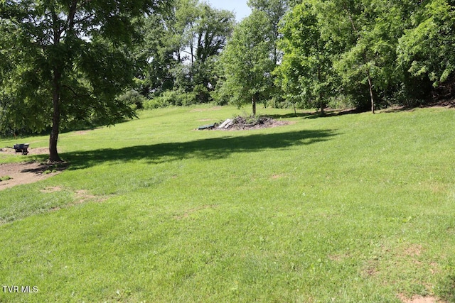 17508 Dreamers Ln, Glade Spring, VA 24340 - view of grassy yard