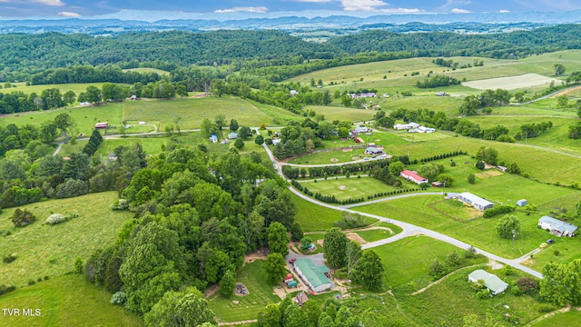 17508 Dreamers Ln, Glade Spring, VA 24340 - view of rural area featuring a mountain backdrop