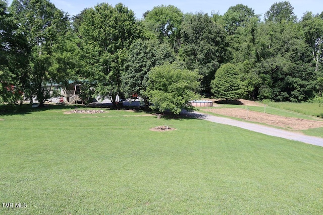 17508 Dreamers Ln, Glade Spring, VA 24340 - view of green lawn