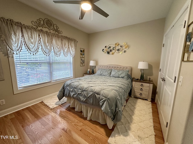 59 Whisper Bnd Unit 0, Johnson City, TN 37604 - bedroom with light wood-style floors, baseboards, and ceiling fan