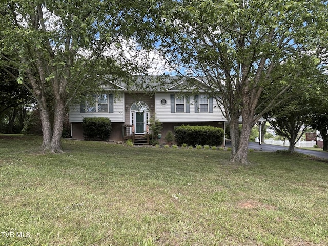 115 Butterfly Ct, Limestone, TN 37681 - bi-level home with a front lawn