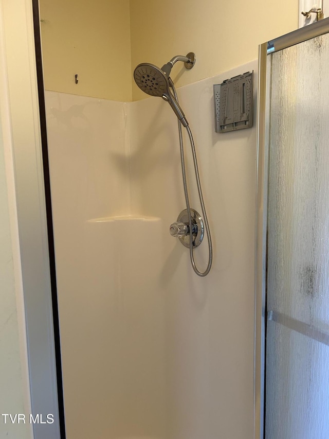115 Butterfly Ct, Limestone, TN 37681 - bathroom view of a shower stall