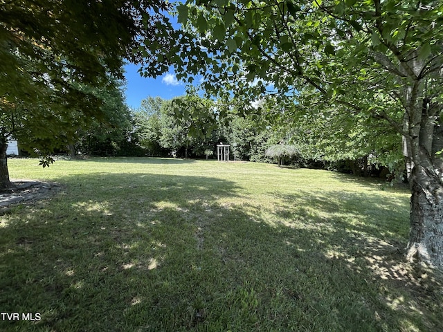 115 Butterfly Ct, Limestone, TN 37681 - view of grassy yard