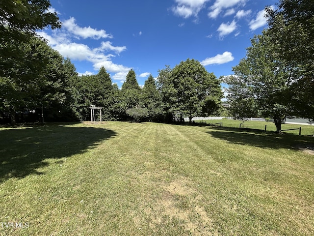 115 Butterfly Ct, Limestone, TN 37681 - view of grassy yard