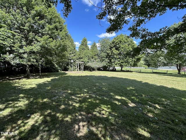 115 Butterfly Ct, Limestone, TN 37681 - view of grassy yard