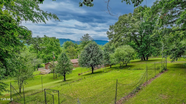 524 Cherokee Dr, Mount Carmel, TN 37645 - photo 41