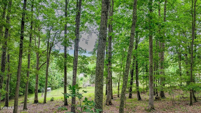 524 Cherokee Dr, Mount Carmel, TN 37645 - photo 43