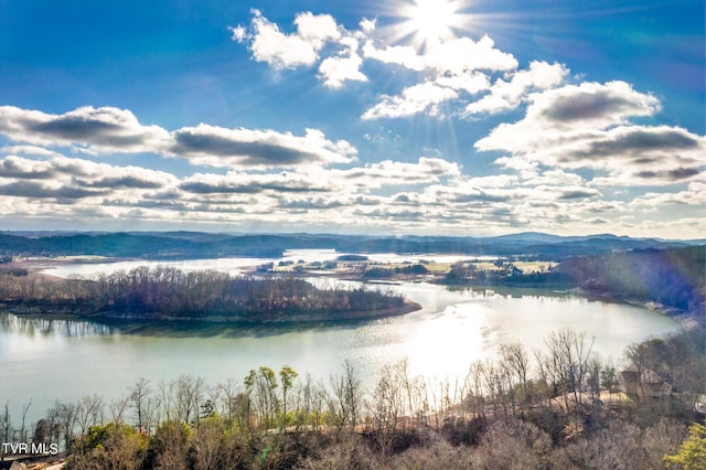 607 Lakeview Dr, Mooresburg, TN 37811