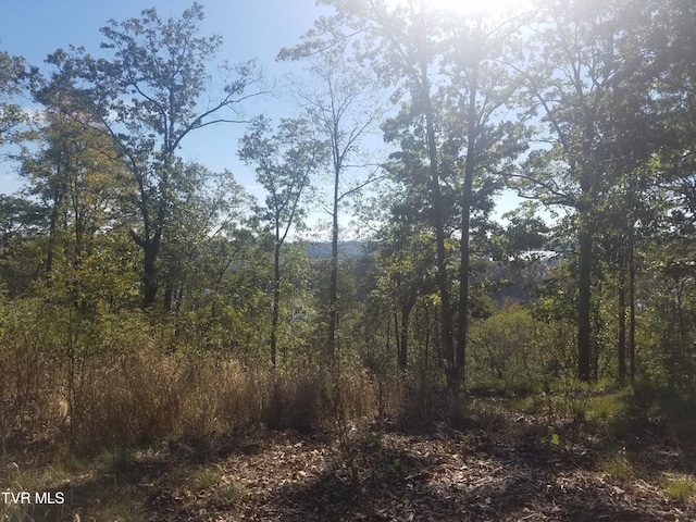 607 Lakeview Dr, Mooresburg, TN 37811