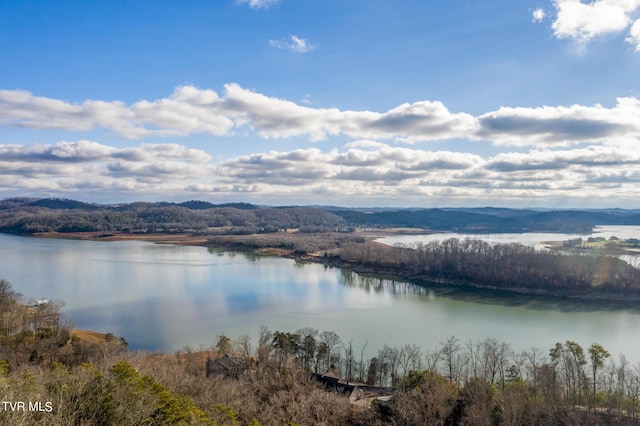 607 Lakeview Dr, Mooresburg, TN 37811