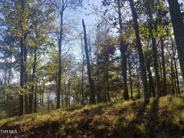 607 Lakeview Dr, Mooresburg, TN 37811