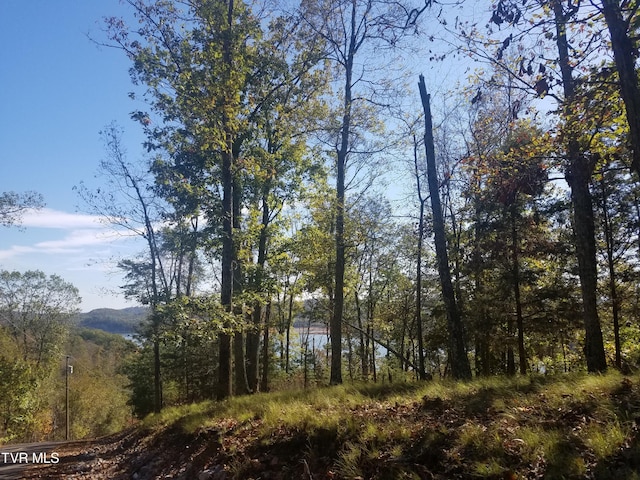 607 Lakeview Dr, Mooresburg, TN 37811