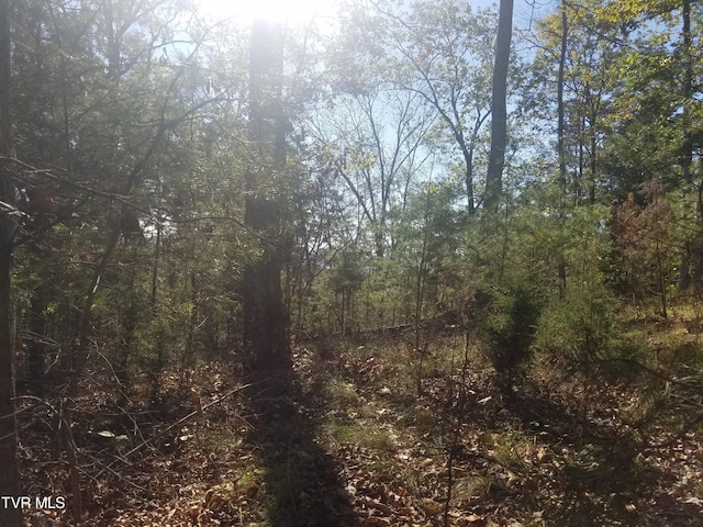 607 Lakeview Dr, Mooresburg, TN 37811