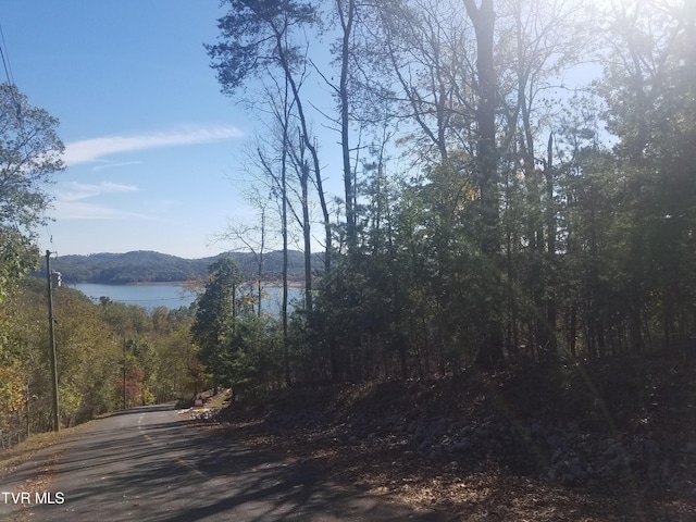 607 Lakeview Dr, Mooresburg, TN 37811