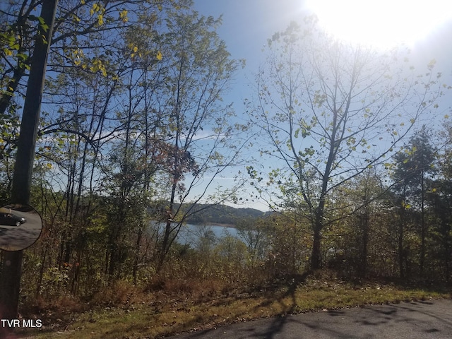 607 Lakeview Dr, Mooresburg, TN 37811